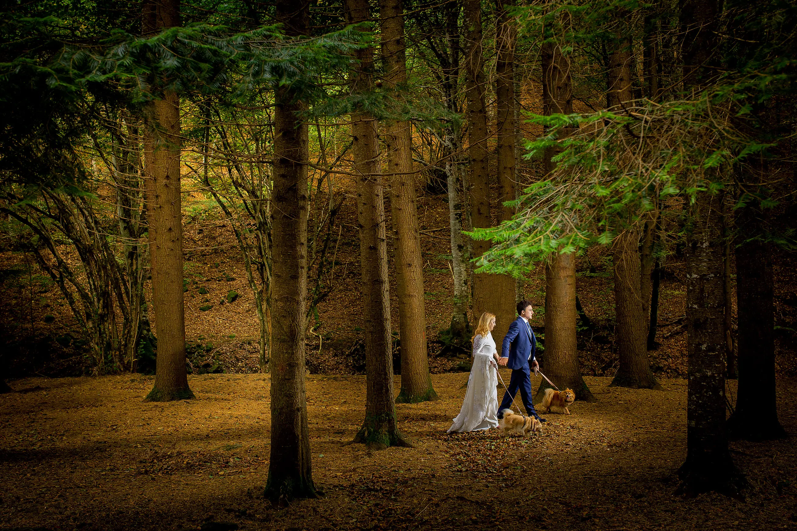 Jennifer y David, Zona Chic Tudela y Eugui, Navarra - Fotografía de boda por Lovely Photo